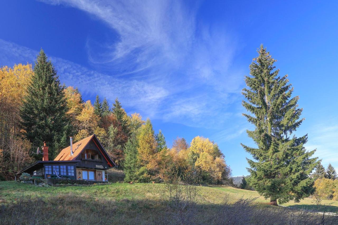 Fairytale Cottage - Peaceful Getaway Near Bled Zgornje Gorje Luaran gambar