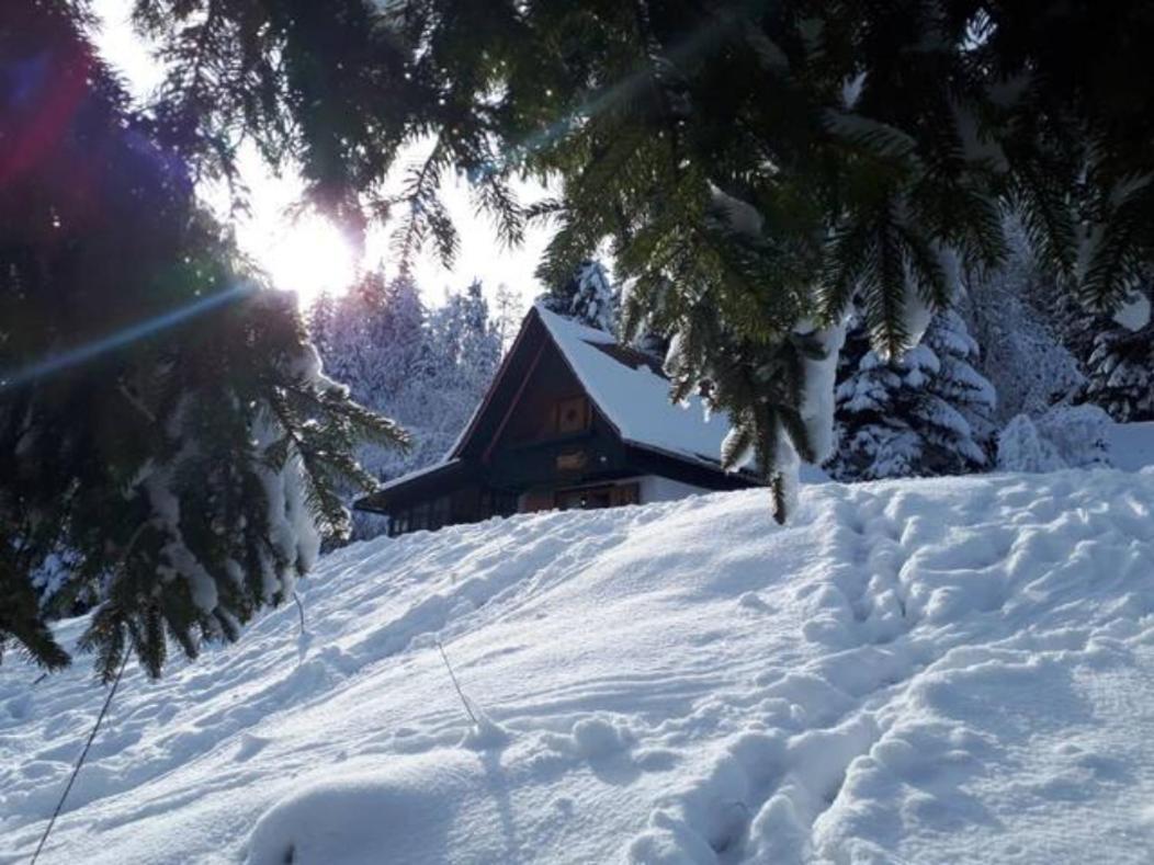 Fairytale Cottage - Peaceful Getaway Near Bled Zgornje Gorje Luaran gambar